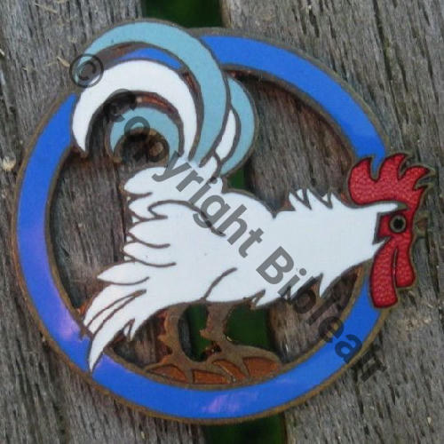 513  GAO.513 1939  Pieds dores Sol orange Bleu  A AUGIS LYON 2Lignes Bol allonge rectangle origin.. Dos lisse Src.OSCAR.LAURENT 123Eur(x5)